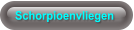Schorpioenvliegen