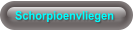 Schorpioenvliegen