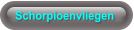 Schorpioenvliegen